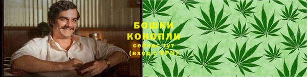 PSILOCYBIN Бородино