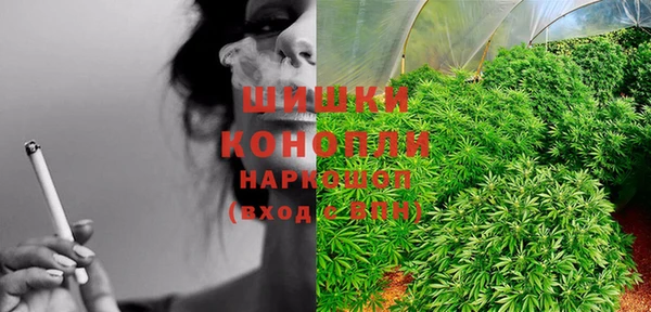 PSILOCYBIN Бородино