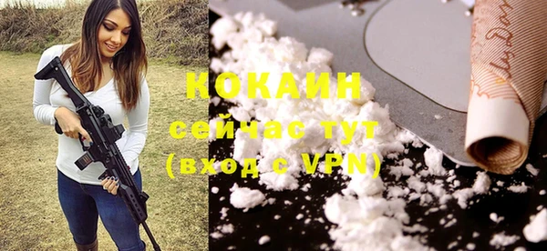 PSILOCYBIN Бородино