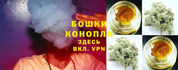 PSILOCYBIN Бородино