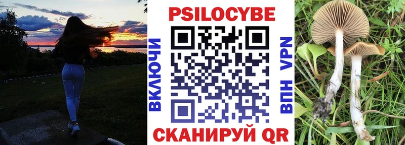 цены наркотик  Гуково  Псилоцибиновые грибы Cubensis 